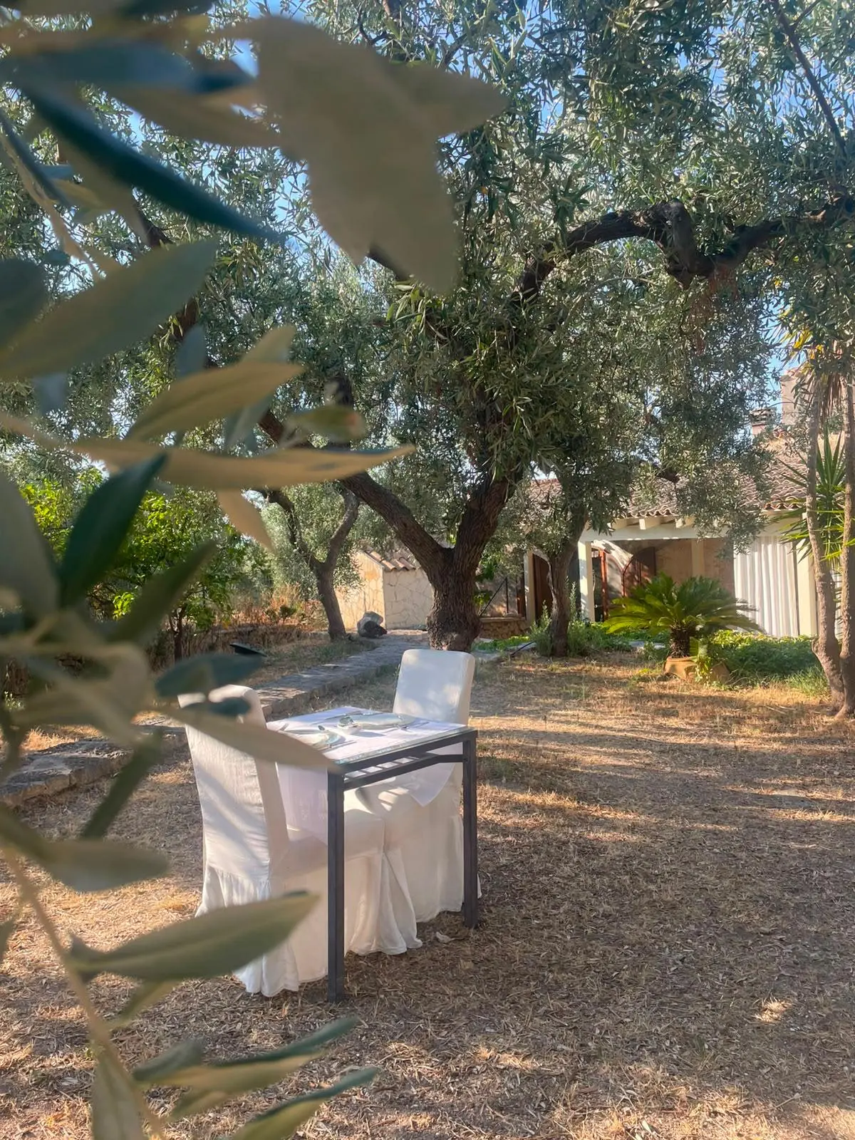 Colazione in giardino